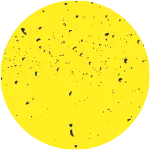 shape image