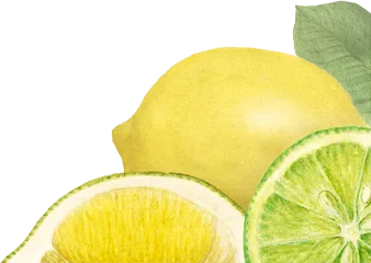 shape image