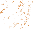 shape image