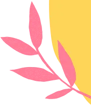 Shape image