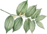 Shape Image Three
