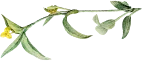 Shape Image Three