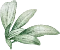 Shape Image Three
