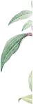Shape Image Three