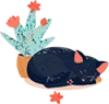Shape Image One