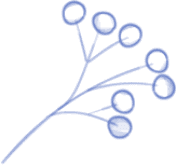 shape image