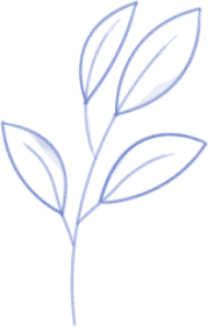 shape image