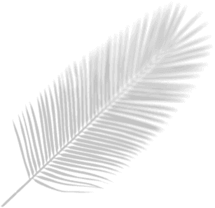 shape image One